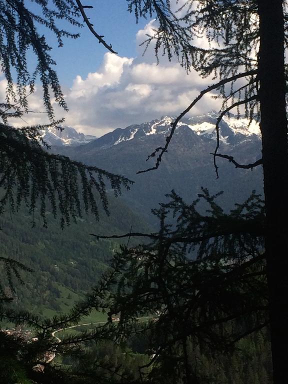 Affittacamere Lago Rotondo Mezzana  Luaran gambar